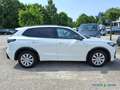 Volkswagen Tiguan 1.5 eTSI DSG R-LINE HD-MATRIX APP "20" Weiß - thumbnail 6