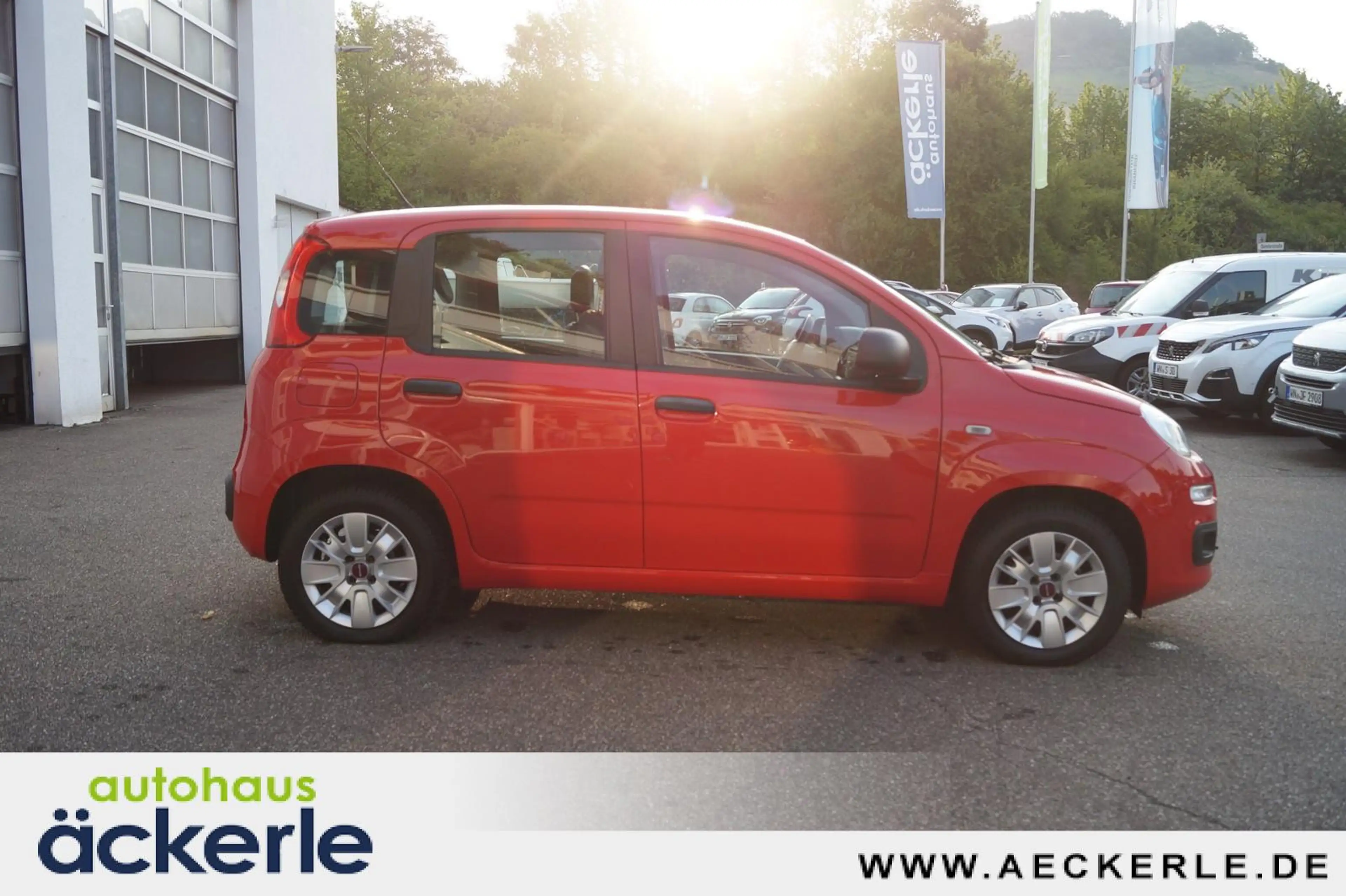 Fiat Panda Easy — photo 6