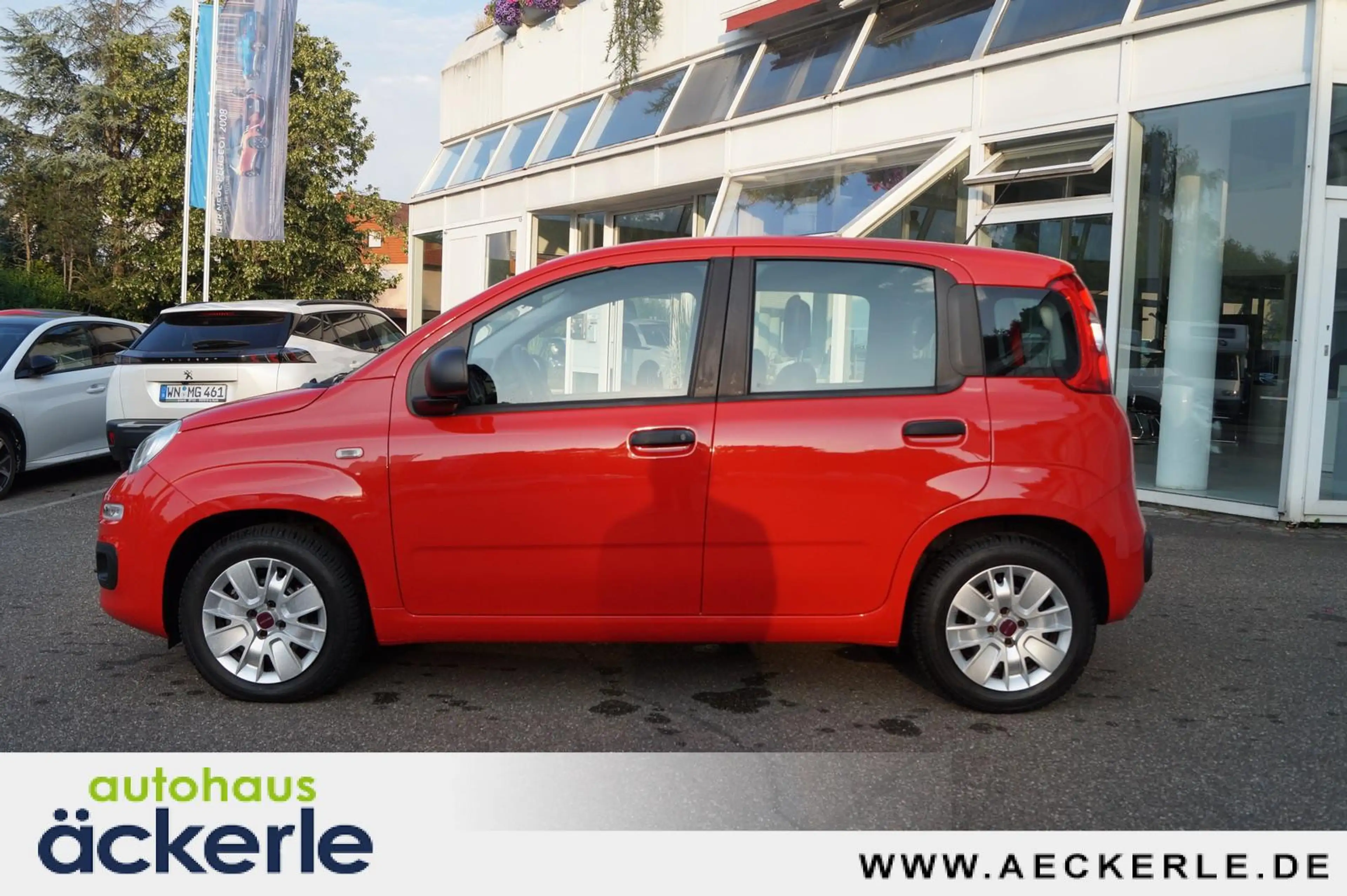 Fiat Panda Easy — photo 2