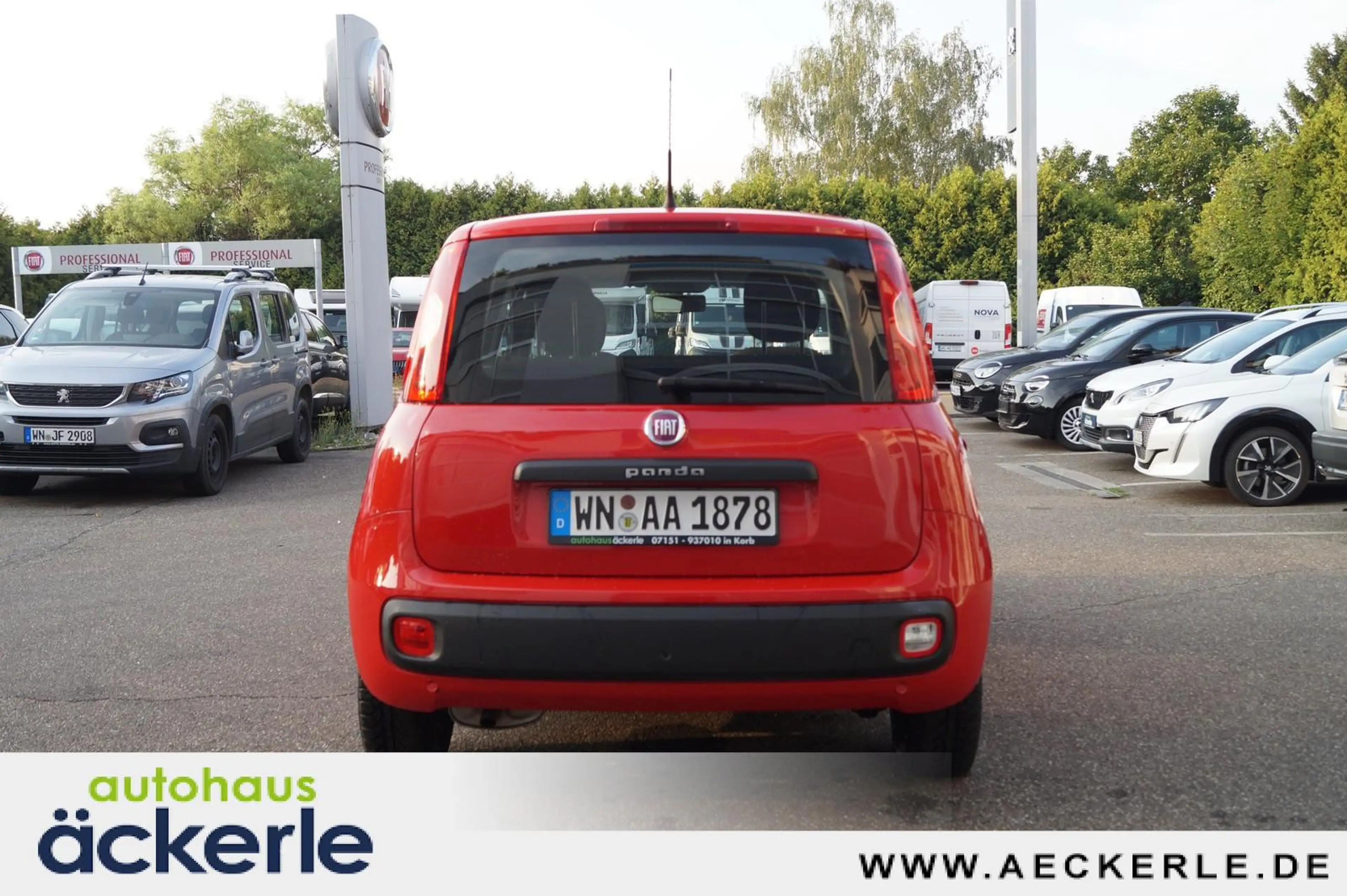 Fiat Panda Easy — photo 4