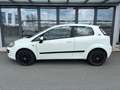 Fiat Punto MyLife Weiß - thumbnail 3