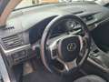 Lexus CT 200h 1.8 Luxury cvt*AUTOM*NAVI*CRUISE*CAMERA* Blu/Azzurro - thumbnail 7