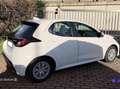 Toyota Yaris 1.5 Hybrid 5 porte Active Weiß - thumbnail 7