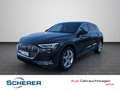 Audi e-tron 50 quattro 230 kW MEMORY NAVI PLUS Grau - thumbnail 1