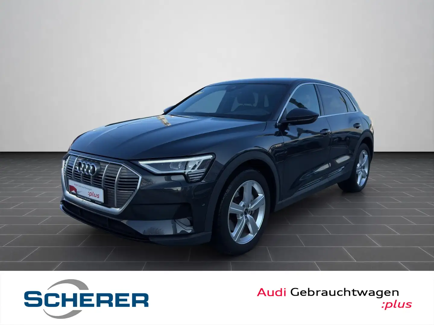 Audi e-tron 50 quattro 230 kW MEMORY NAVI PLUS Grau - 1
