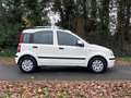 Fiat Panda 1.2 Edizione Cool | " 156.000 " KM NAP + Nieuwe AP Wit - thumbnail 6