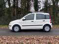 Fiat Panda 1.2 Edizione Cool | " 156.000 " KM NAP + Nieuwe AP Wit - thumbnail 2