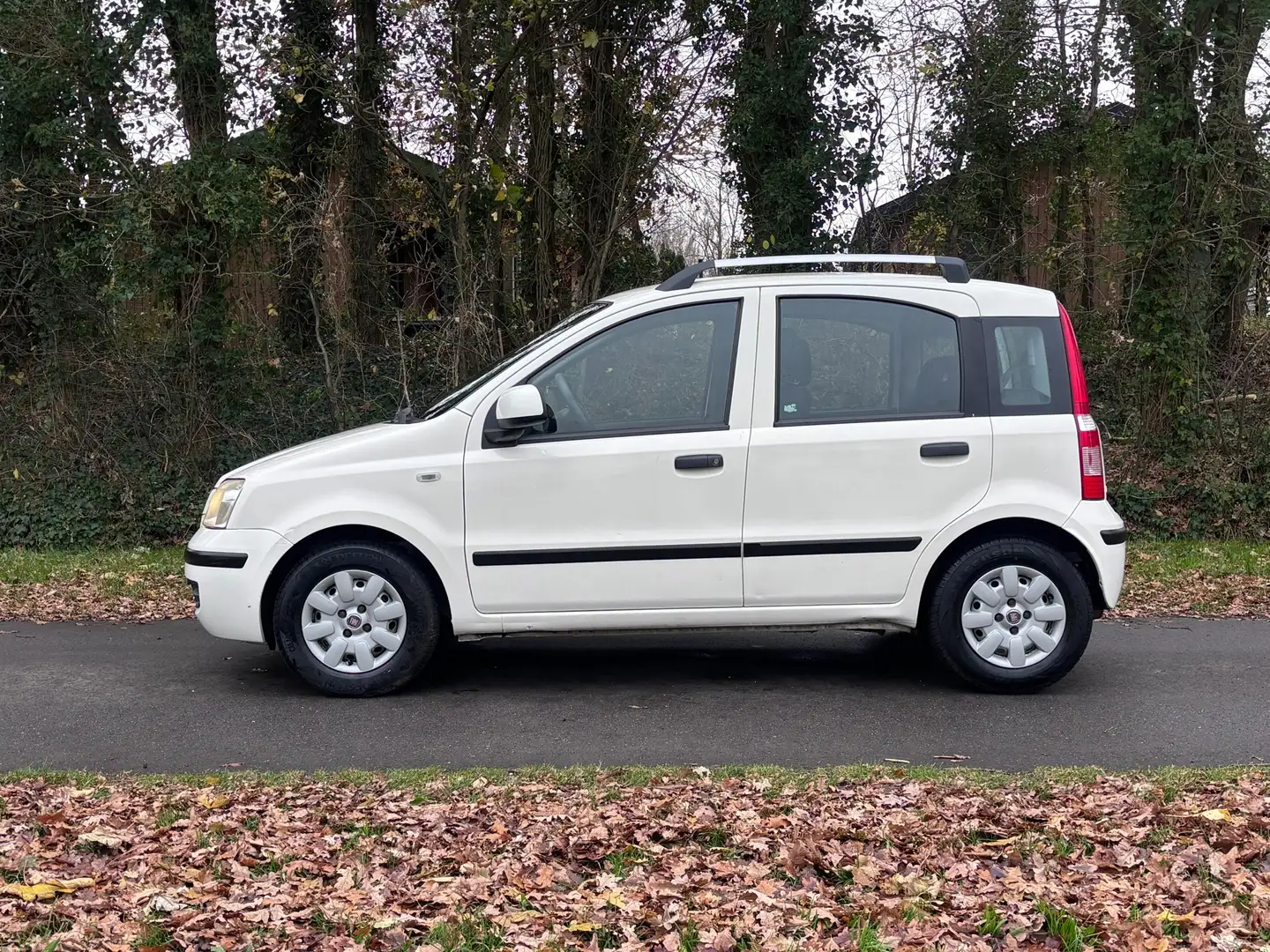 Fiat Panda 1.2 Edizione Cool | " 156.000 " KM NAP + Nieuwe AP Wit - 2