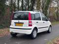 Fiat Panda 1.2 Edizione Cool | " 156.000 " KM NAP + Nieuwe AP Wit - thumbnail 5
