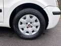 Fiat Panda 1.2 Edizione Cool | " 156.000 " KM NAP + Nieuwe AP Wit - thumbnail 8