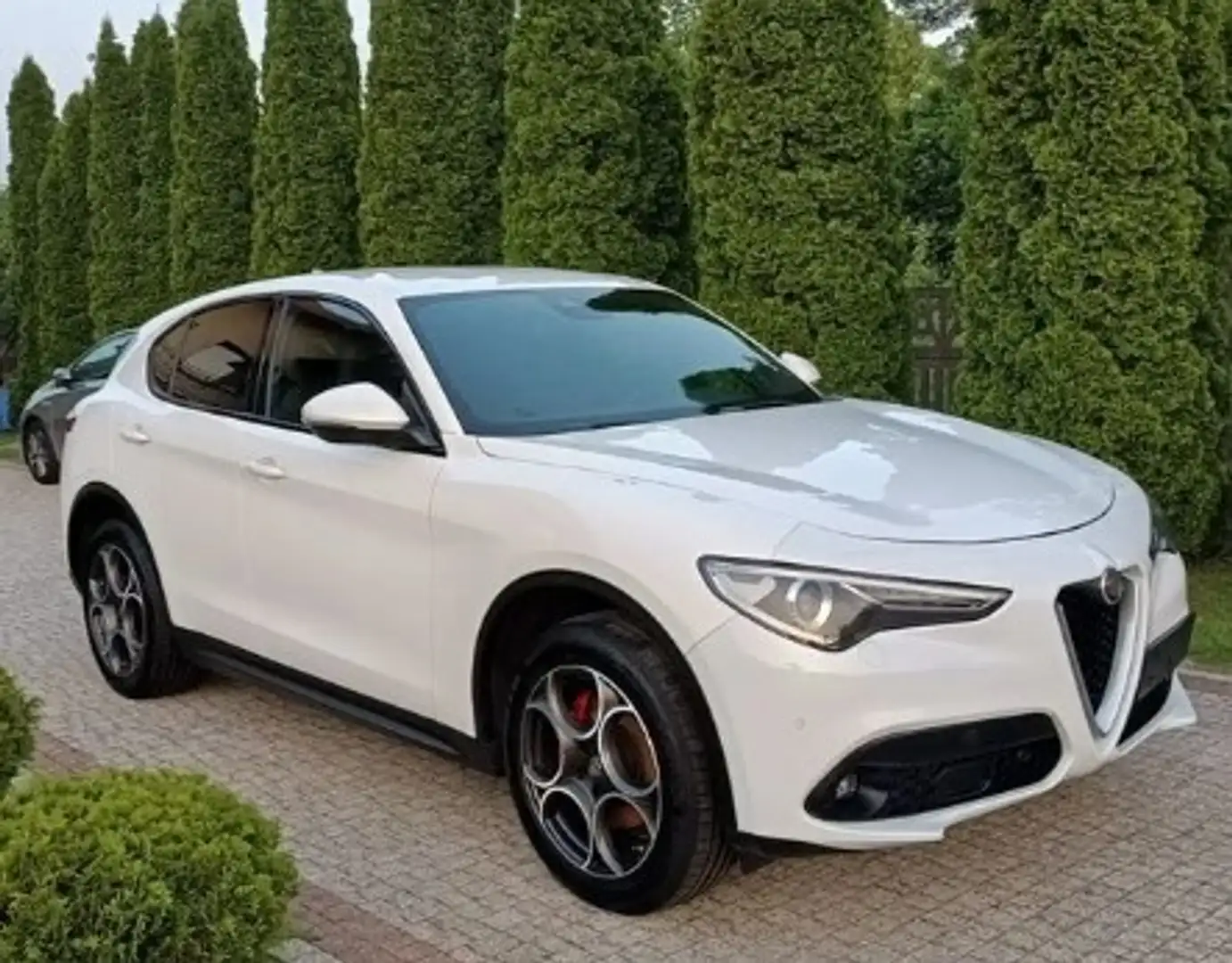 Alfa Romeo Stelvio 2.2 t Sport Edition Q4 210cv auto - 1