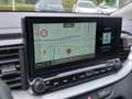 Kia Ceed SW / cee'd SW Sportswagon 1.0 T-GDi 120pk DynamicPlusLine | Navi Wit - thumbnail 10