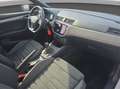 SEAT Ibiza 1.0 TSI Black Edition Blanc - thumbnail 13