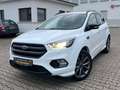 Ford Kuga ST-Line*1HAND*ALLRAD*PANO Blanco - thumbnail 1
