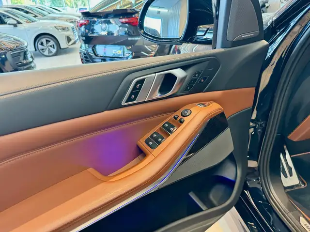 BMW X5 view 7