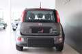 Fiat Panda 1.0 FireFly S&S Hybrid City Life 5 POSTI *CARPLAY* Grigio - thumbnail 5