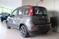 Fiat Panda 1.0 FireFly S&S Hybrid City Life 5 POSTI *CARPLAY* Gris - thumbnail 4
