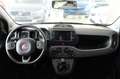 Fiat Panda 1.0 FireFly S&S Hybrid City Life 5 POSTI *CARPLAY* Grigio - thumbnail 6