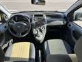 Fiat Panda 1.2 Dynamic 69cv E5 NEOPATENTATI!! Beige - thumbnail 12