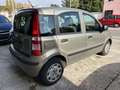 Fiat Panda 1.2 Dynamic 69cv E5 NEOPATENTATI!! Beige - thumbnail 6