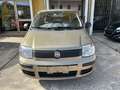 Fiat Panda 1.2 Dynamic 69cv E5 NEOPATENTATI!! Beige - thumbnail 3