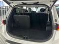 Hyundai SANTA FE Tm 2.2CRDi Tecno DK 4x4 Aut. Blanco - thumbnail 13