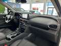 Hyundai SANTA FE Tm 2.2CRDi Tecno DK 4x4 Aut. Blanco - thumbnail 18