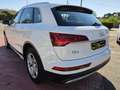 Audi Q5 35 TDI Advanced S tronic Blanco - thumbnail 5