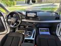 Audi Q5 35 TDI Advanced S tronic Blanco - thumbnail 12