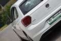 Volkswagen Polo 1.0 / Pickerl & Service & Reifen  NEU / Weiß - thumbnail 6