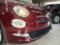 Fiat 500 1.0 70CV HYBRID S&S DOLCEVITA Rojo - thumbnail 14
