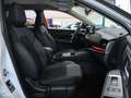 Nissan Qashqai MHEV 158CV 12V 4X2 DIGT N-CONNECTA 158CV Blanc - thumbnail 23
