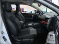 Nissan Qashqai MHEV 158CV 12V 4X2 DIGT N-CONNECTA 158CV Blanco - thumbnail 23