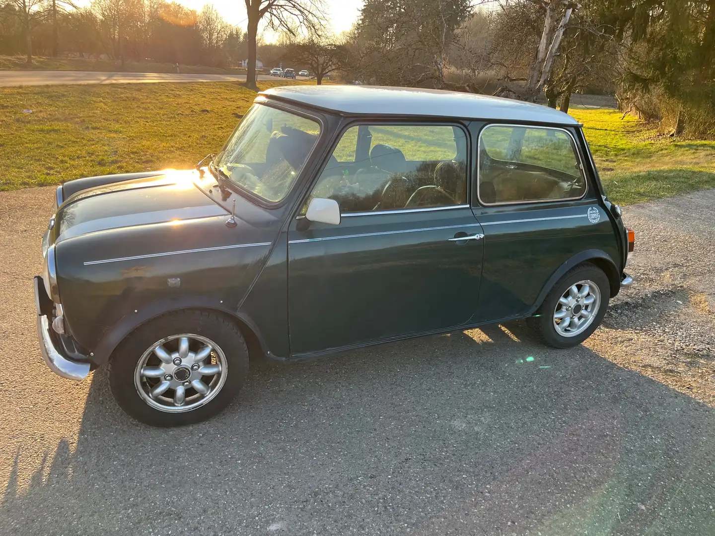Rover MINI Mini Cooper Grün - 1