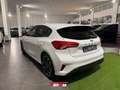 Ford Focus 1.0 EcoBoost Hybrid 125CV 5p. ST Line Bianco - thumbnail 7
