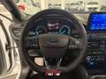 Ford Focus 1.0 EcoBoost Hybrid 125CV 5p. ST Line Bianco - thumbnail 13