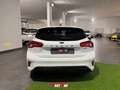 Ford Focus 1.0 EcoBoost Hybrid 125CV 5p. ST Line Bianco - thumbnail 6