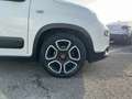 Fiat Panda MY21 City Life Hybrid 1.0 GSE 51kw Weiß - thumbnail 6