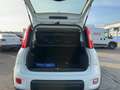 Fiat Panda MY21 City Life Hybrid 1.0 GSE 51kw Weiß - thumbnail 12