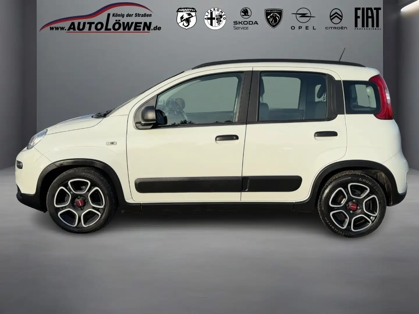 Fiat Panda MY21 City Life Hybrid 1.0 GSE 51kw Weiß - 2