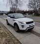 Land Rover Range Rover Evoque SD4 Dynamic A - thumbnail 11