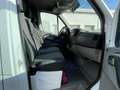 Mercedes-Benz Sprinter 313 CDI//Pritsche DOKA//AHK 3,5t//TOP// Blanc - thumbnail 7