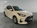 Toyota Yaris 1.5 Business Kamera+CarPlay+Allwetter+Navi Blanc - thumbnail 8