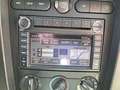 Ford Mustang GT 4.6 V8 BULLITT LIMITED EDITION N°648 Verde - thumbnail 14
