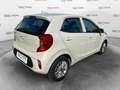 Kia Picanto 1.0 12V 5 porte Urban Beige - thumbnail 5
