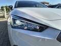 SEAT Leon Leon 2.0 TDI 150 CV DSG FR Bianco - thumbnail 4