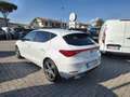 SEAT Leon Leon 2.0 TDI 150 CV DSG FR Bianco - thumbnail 6