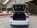 Audi Q8 Q8  45 3.0 tdi mhev Sport quattro tiptronic Bianco - thumbnail 5