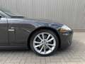Jaguar XK 5.0 V8 Convertible Portfolio Stoelverkoeling|Stuur Grau - thumbnail 9