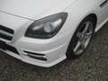 Mercedes-Benz SLK 200 SLK 200  AMG PAKET Weiß - thumbnail 10